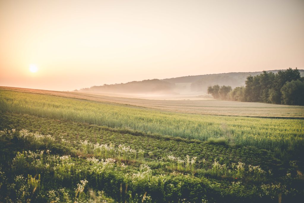 Accompagnement de projet agroalimentaire dans l’Ain